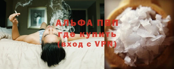 сатива Беломорск