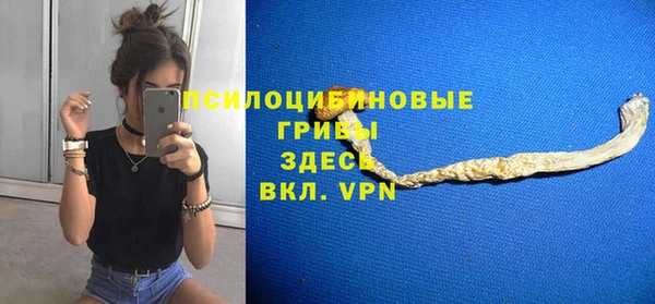 МДПВ Белокуриха