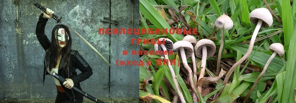 mix Богородицк