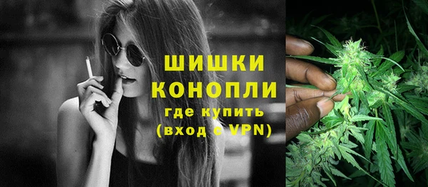сатива Беломорск