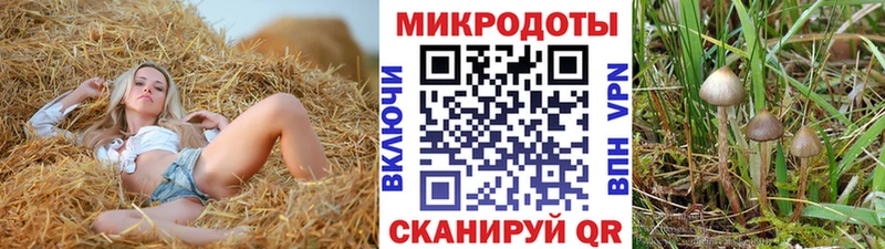 Галлюциногенные грибы Cubensis  Пересвет 